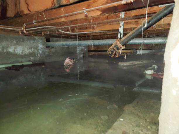 Best Local water damage restoration  in Spencer, OK