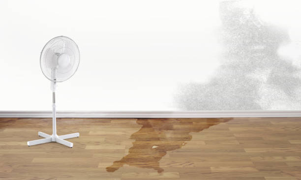 Best Basement water damage restoration  in Spencer, OK